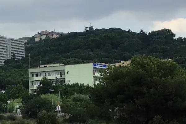 SÜREYYAPAŞA HASTANESİ Meslek Hastalıkları EK BİNASI - Resim 13