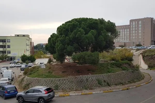 SÜREYYAPAŞA HASTANESİ Meslek Hastalıkları EK BİNASI - Resim 10