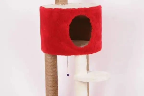 Red Petshop - Resim 4