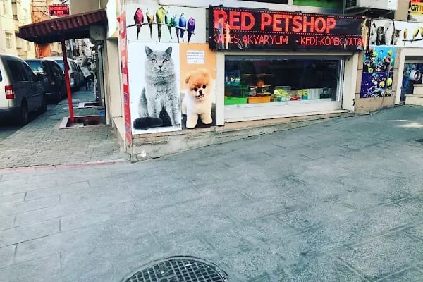 Red Petshop - Resim 18
