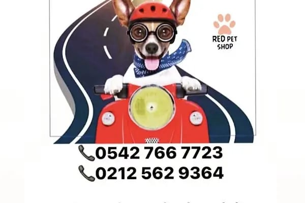 Red Petshop - Resim 15