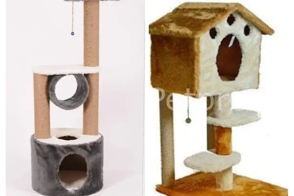 Red Petshop - Resim 10