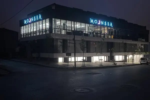 Moonsea - Resim 2