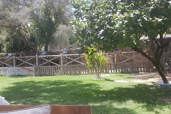 Alaçatı Pazaryeri Camii - Resim 14