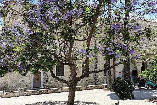 Alaçatı Pazaryeri Camii - Resim 15