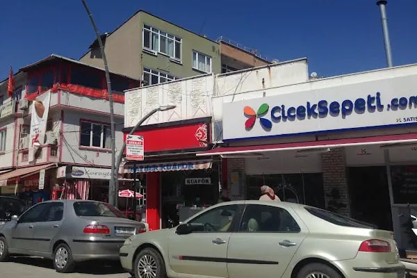 ÇİÇEKSEN - Resim 6
