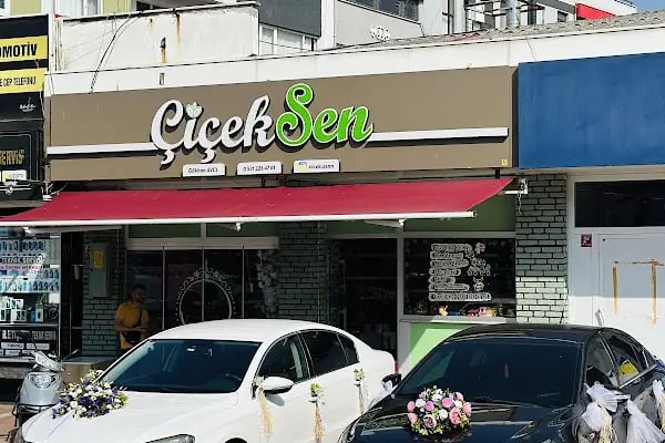 ÇİÇEKSEN - Resim 2