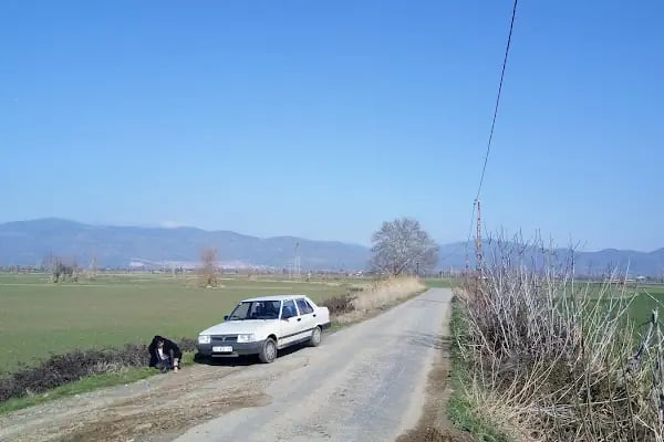 Bayındır Mesire Alanı - Resim 18