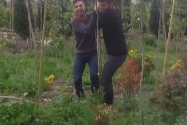 Bayındır Mesire Alanı - Resim 4