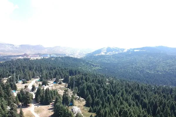 Uludağ Kamp Alanı - Resim 2