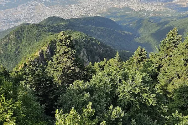 Uludağ Kamp Alanı - Resim 6