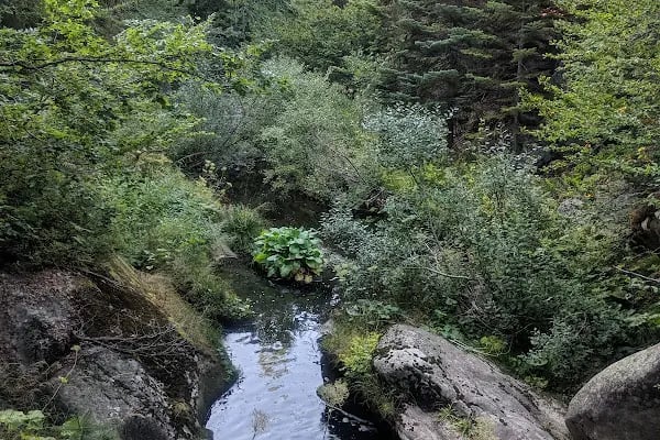 Uludağ Kamp Alanı - Resim 13