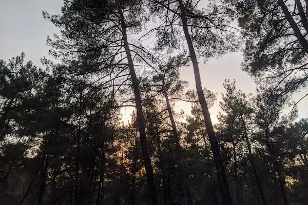 Uludağ Kamp Alanı - Resim 8