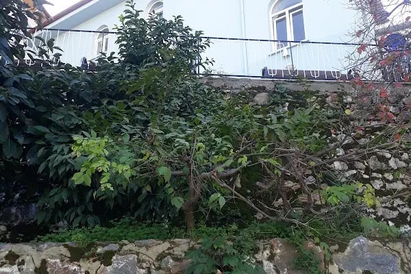 Yengelioğlu Cami - Resim 18