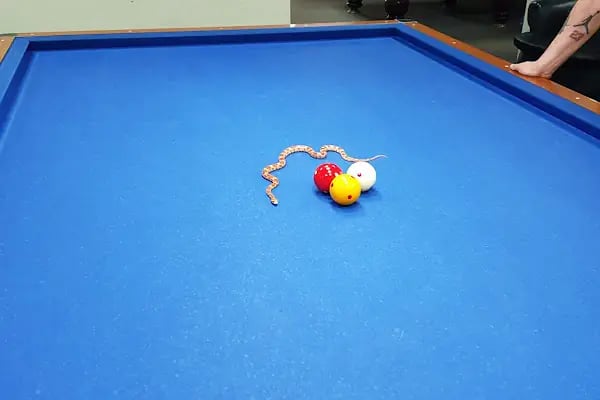 Tayfun Bilardo Spor Okulu - Resim 6
