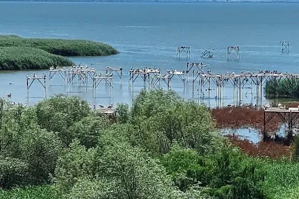 Kuşcenneti Müzesi - Resim 2