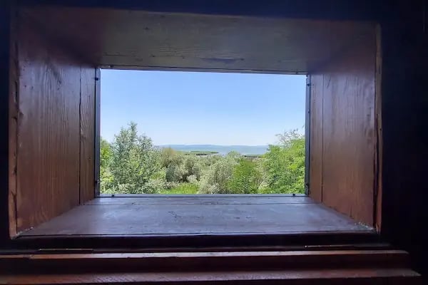 Kuşcenneti Müzesi - Resim 3
