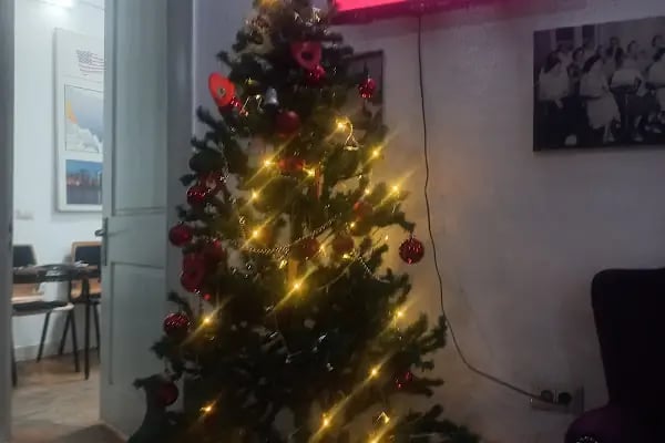 Amerikan Dili Edebiyatı Yabancı Dil Kursları Bornova Şubesi - Resim 6