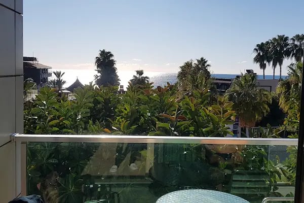 Delfino Otel - Resim 17