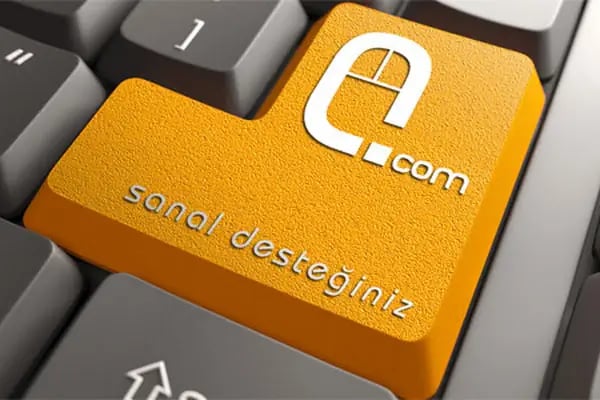 Domain Bursa - Alan Adı Kayıt Hizmetleri - Resim 1