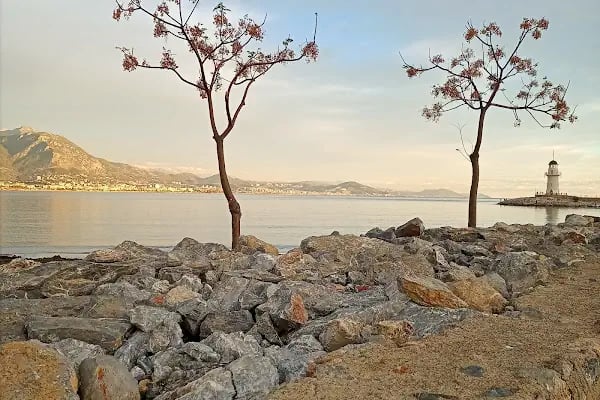 Alanya Liman Başkanlığı - Resim 12