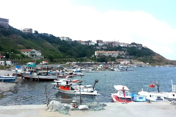 Karaburun Köyü Muhtarlığı - Resim 3