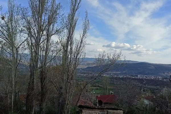 Köseköy Mezarlığı - Resim 3
