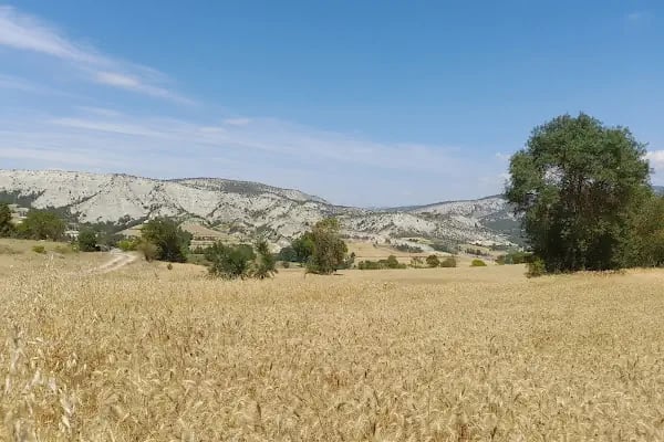 Harmankaya Kanyonu Tabiat Parkı - Resim 18