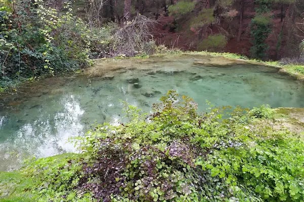 Harmankaya Kanyonu Tabiat Parkı - Resim 16