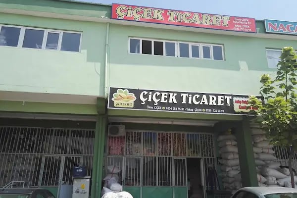 Çiçek Ticaret - Resim 3