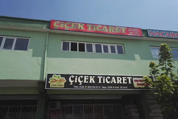 Çiçek Ticaret - Resim 5