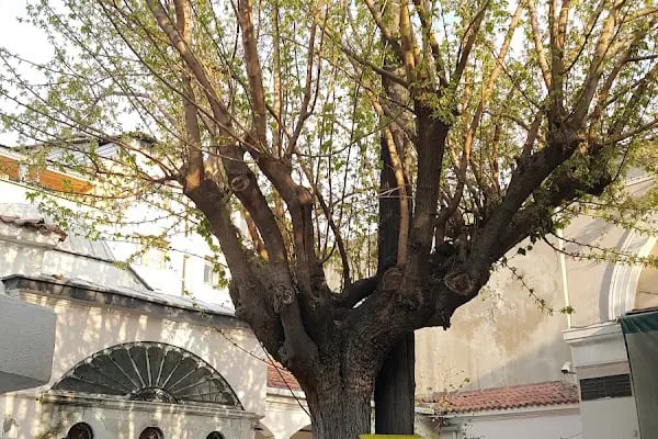 Kemeraltı Camii - Resim 12