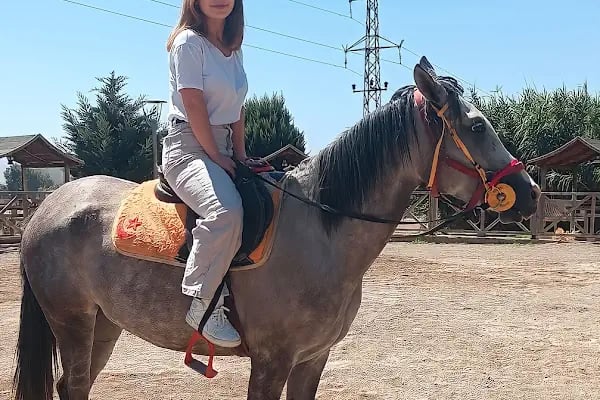 At Binme Ve Okçuluk Merkezi - Resim 3
