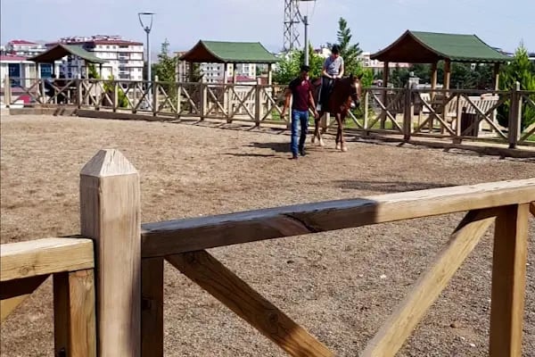At Binme Ve Okçuluk Merkezi - Resim 6
