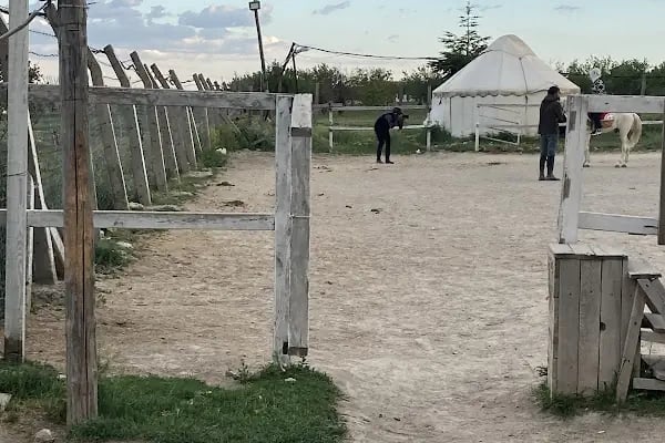 Performans Binicilik - Resim 11