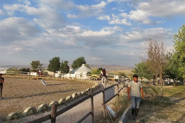Performans Binicilik - Resim 19