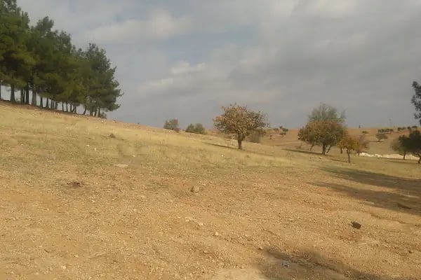 GaziPark Düğün ve Organizasyon - Resim 18