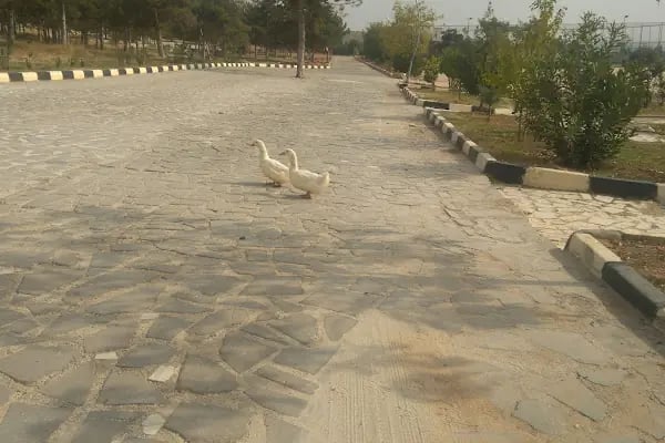 GaziPark Düğün ve Organizasyon - Resim 9