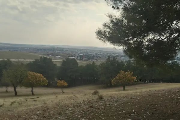 GaziPark Düğün ve Organizasyon - Resim 11