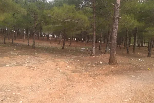 GaziPark Düğün ve Organizasyon - Resim 4