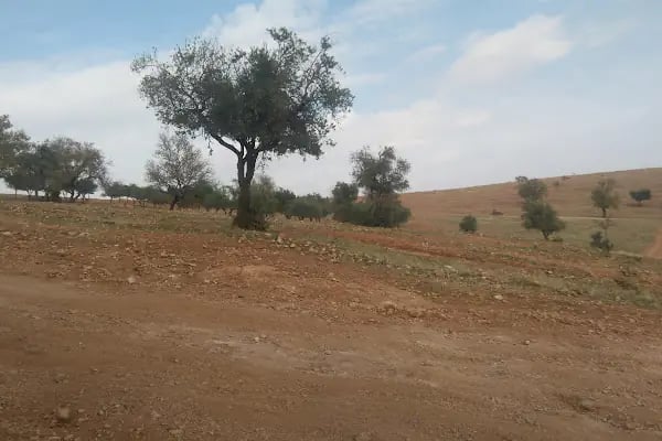 GaziPark Düğün ve Organizasyon - Resim 15