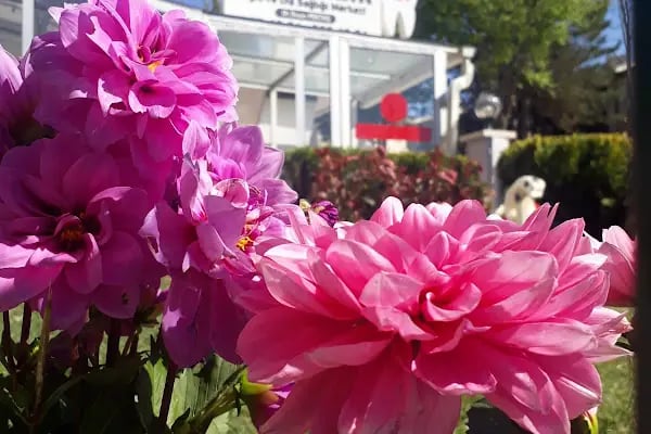 ÖZEL DENTAL ANK - Ümitköy Ağız ve Diş Sağlığı Merkezi - Resim 4
