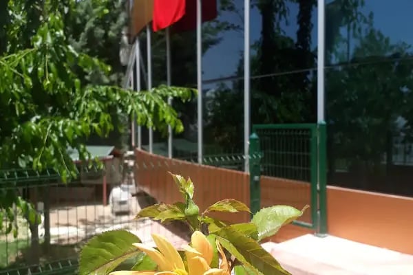 ÖZEL DENTAL ANK - Ümitköy Ağız ve Diş Sağlığı Merkezi - Resim 9