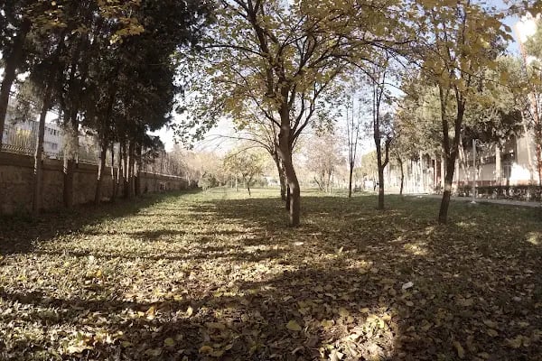 Dokuz Eylül Üniversitesi İzmir Meslek Yüksekokulu - Resim 10