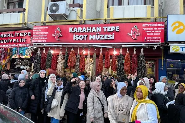 Karahantepe isot muzesi - Resim 2