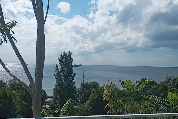 MOON GARDEN DAVET - Resim 16