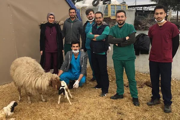 Harran Üniversitesi Veteriner Fakültesi Hayvan Hastanesi - Resim 13