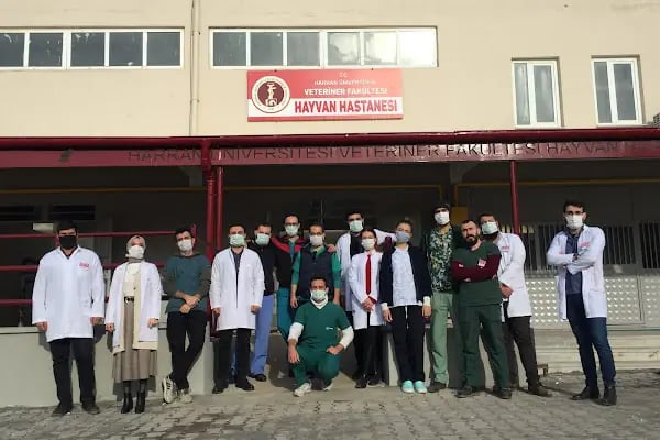 Harran Üniversitesi Veteriner Fakültesi Hayvan Hastanesi - Resim 8