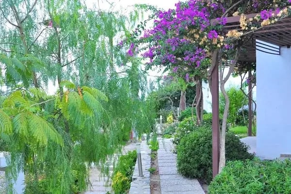Milport Hotel Bodrum - Resim 12
