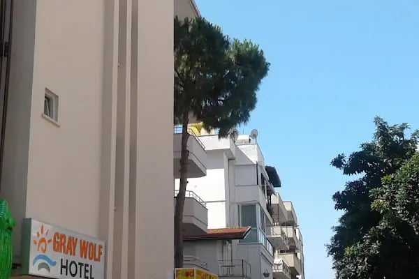 Gray Wolf Hotel - Resim 4